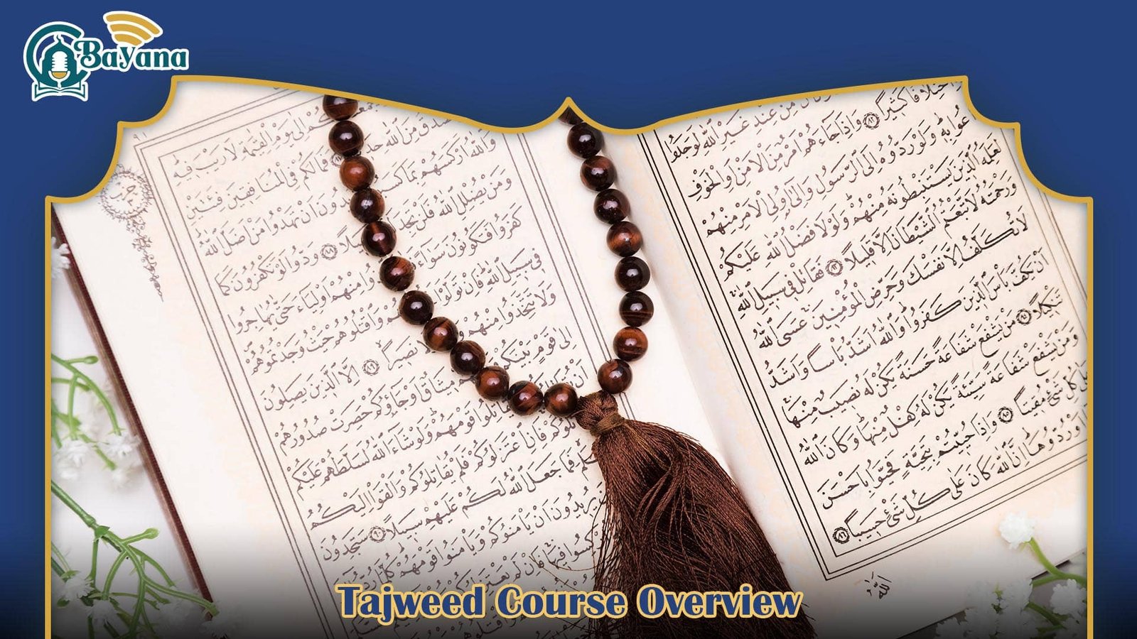 learn tajweed online