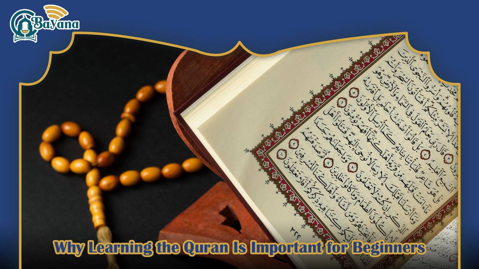 Best Quran